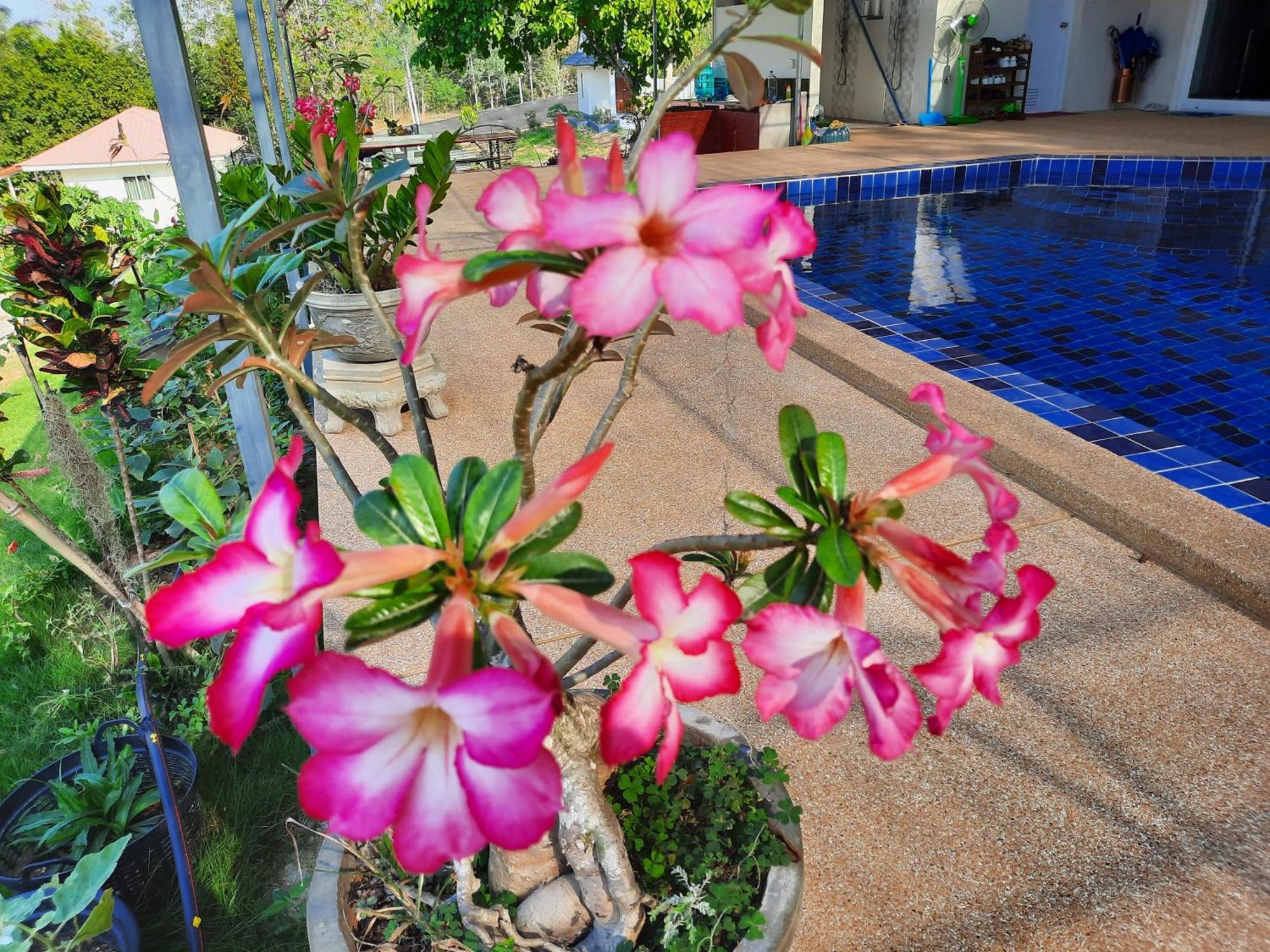 Lemax Homestay And Thailand Tours Phetchaburi Exterior foto